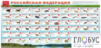 Стенд "Красная книга РФ" - «globural.ru» - Чапаевск