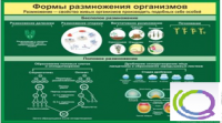 Стенд "Формы размножения организмов" - «globural.ru» - Чапаевск
