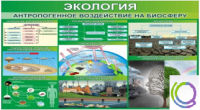 Стенд "Экология. Антропогенное воздействие на биосферу" - «globural.ru» - Чапаевск