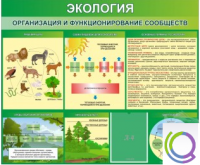 Стенд "Экология. Организация и функционирование сообществ" - «globural.ru» - Чапаевск