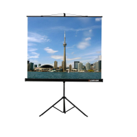 Проекционный экран на штативе Lumien Eco View (LEV-100105) 160x160 см - «globural.ru» - Чапаевск