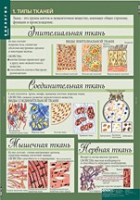Биология 8-9 класс. Человек. (комплект таблиц) - «globural.ru» - Чапаевск