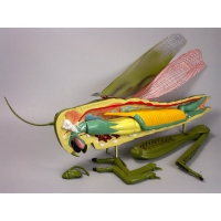 Модель "Кузнечик" - «globural.ru» - Чапаевск