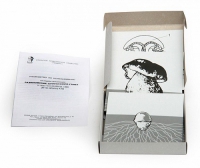 Модель-аппликация Размножение шляпочного гриба (набор из 9 карт) - «globural.ru» - Чапаевск