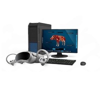 Интерактивный учебный комплекс «Анатомия Свиньи» - «globural.ru» - Чапаевск