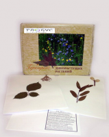 Гербарий Дикорастущие растения (28 видов) - «globural.ru» - Чапаевск