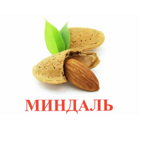 Карточки Домана "Орехи-Ягоды-2" - «globural.ru» - Чапаевск
