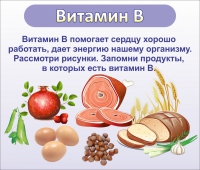 Стенд "Витамин В" - «globural.ru» - Чапаевск