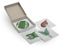 Модель-аппликация Размножение папоротника (набор из 8 карт) - «globural.ru» - Чапаевск