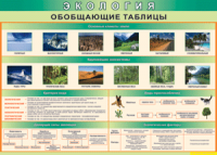 Обобщающие таблицы 1000*700 винил	 - «globural.ru» - Чапаевск