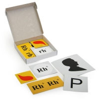 Модель-аппликация Наследование резус-фактора (набор из 19 карт) - «globural.ru» - Чапаевск