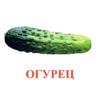 Карточки Домана "Овощи-Зелень-1" - «globural.ru» - Чапаевск