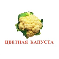 Карточки Домана "Овощи-Зелень-2" - «globural.ru» - Чапаевск