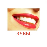 Карточки Домана "Части тела" - «globural.ru» - Чапаевск