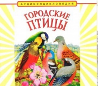 CD "Аудиоэнциклопедия. Городские птицы" - «globural.ru» - Чапаевск