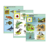 Комплект таблиц для начальной школы "Окружающий мир. Животный мир" - «globural.ru» - Чапаевск