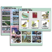 Комплект таблиц для  начальной школы "Окружающий мир. Экология" - «globural.ru» - Чапаевск