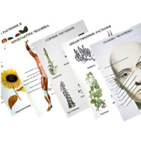 Таблицы по природоведению 1-3 класс - «globural.ru» - Чапаевск