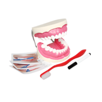 Игровой комплект "Чистим зубы" - «globural.ru» - Чапаевск