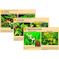 Гербарий фотографический "Ядовитые растения" - «globural.ru» - Чапаевск