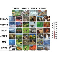 Фенологические наблюдения - «globural.ru» - Чапаевск