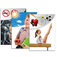 Модель-аппликация "Здоровье человека" - «globural.ru» - Чапаевск