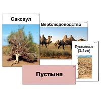 Модель-аппликация "Природные зоны России" - «globural.ru» - Чапаевск