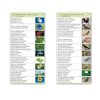 Комплект карточек (10) "Обучающий калейдоскоп. Природа" - «globural.ru» - Чапаевск