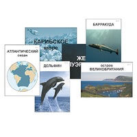 Модель-аппликация "Океаны. Знакомство" (ламинированная) - «globural.ru» - Чапаевск