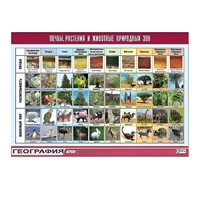 Таблица демонстрационная "Почвы, растения и животные природных зон" (винил 100x140) - «globural.ru» - Чапаевск