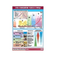 Таблица демонстрационная "Этапы взаимодействия человека и природы" (винил 70x100) - «globural.ru» - Чапаевск