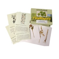 Гербарий "Систематика растений. Семейство Бобовые. Злаки" (раздаточный) - «globural.ru» - Чапаевск