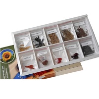 Коллекция "Плоды сельскохозяйственных растений" (вариант 2) - «globural.ru» - Чапаевск