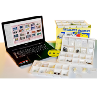 Коллекция натурально-интерактивная "Пластмассы" - «globural.ru» - Чапаевск