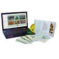 Гербарий натурально-интерактивный "Лекарственные растения" - «globural.ru» - Чапаевск