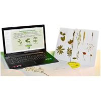 Гербарий натурально-интерактивный "Морфология растений" - «globural.ru» - Чапаевск