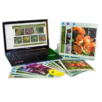 Гербарий натурально-интерактивный "Основные группы растений. Грибы. Лишайники" - «globural.ru» - Чапаевск