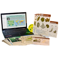 Гербарий натурально-интерактивный к курсу основ общей биологии - «globural.ru» - Чапаевск