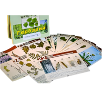 Гербарий к курсу основ общей биологии - «globural.ru» - Чапаевск