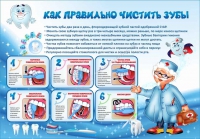 Стенд "Как правильно чистить зубы" - «globural.ru» - Чапаевск