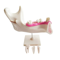 Комплект моделей - «globural.ru» - Чапаевск