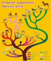 Стенд "Развитие животного мира на земле" - «globural.ru» - Чапаевск