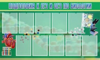 Стенд "Подготовка к ЕГЭ и ОГЭ по биологии" (вариант 2) - «globural.ru» - Чапаевск