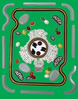 Модель-аппликация Строение клетки - «globural.ru» - Чапаевск