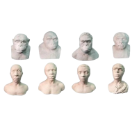 Набор палеонтологических муляжей - «globural.ru» - Чапаевск