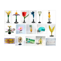 Комплект ботанических моделей демонстрационный - «globural.ru» - Чапаевск