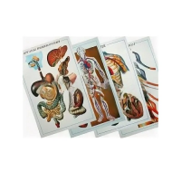 Таблицы рельефные - «globural.ru» - Чапаевск