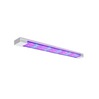 Фитолампа - «globural.ru» - Чапаевск