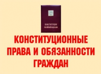 Комплект плакатов "Конституционные права и обязанности граждан" - «globural.ru» - Чапаевск