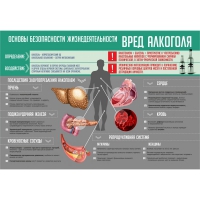 Стенд "Алкоголь" - «globural.ru» - Чапаевск